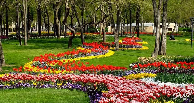 گرافیتی در خیابان ولیعصر تهران تفریحات رایگان تهران